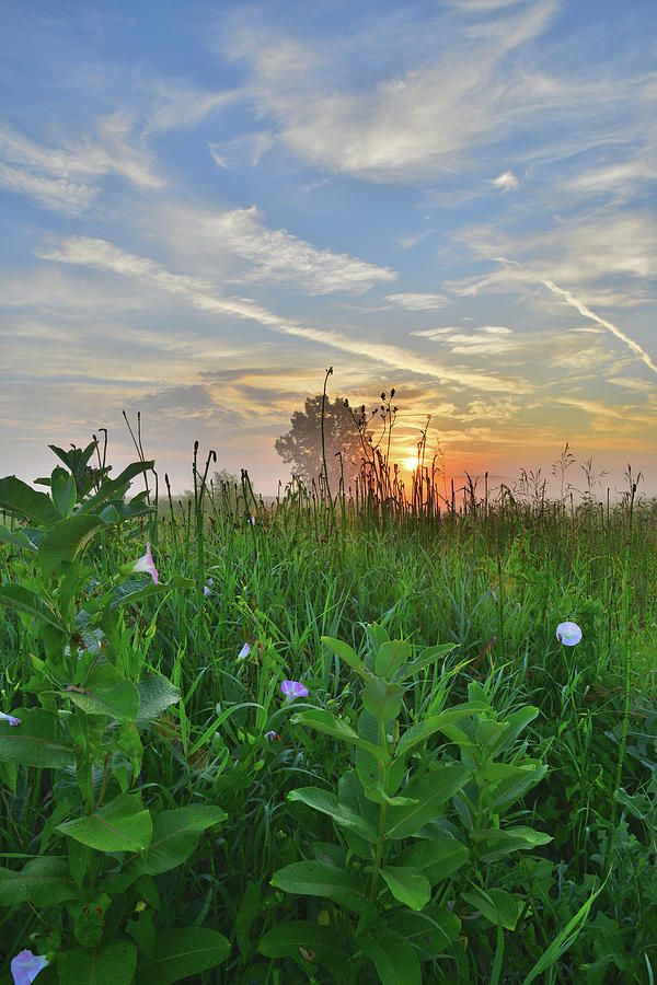 Sunrise in West Glacial Park #1 Photograph by Ray Mathis