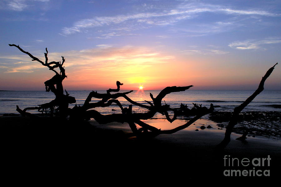 Sunrise Jekyll Island, Driftwood Beach Photograph by Charlene Cox - Pixels