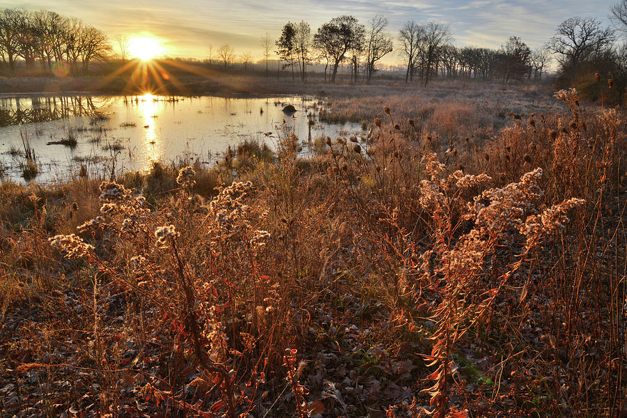Sunrise on Glacial Park Wetland #1 Photograph by Ray Mathis
