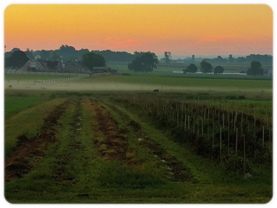 Sunrise On The Farm #2 Photograph by Kenneth Cole