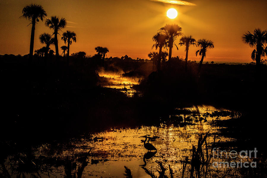 Sunrise on the Kissimmee Prarie #1 Photograph by Rodney Cammauf