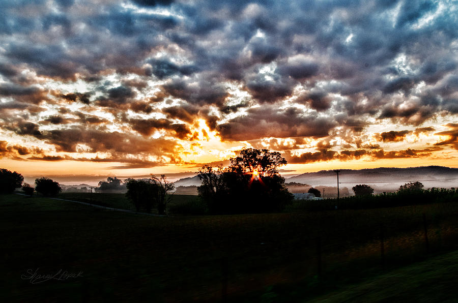 Sunrise Over Fields Photograph by Sharon Popek