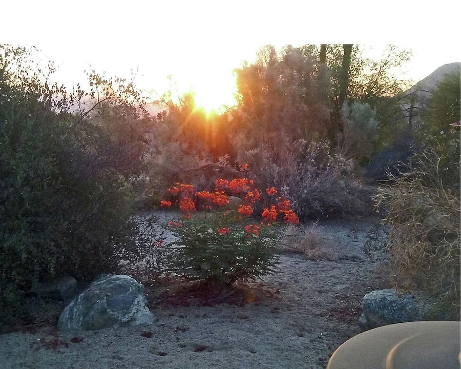 Sunrise Over The Desert #1 Photograph by Jay Milo