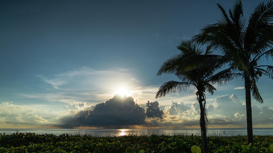 Sunrise Palms Delray Beach Florida #1 Photograph by Lawrence S Richardson Jr