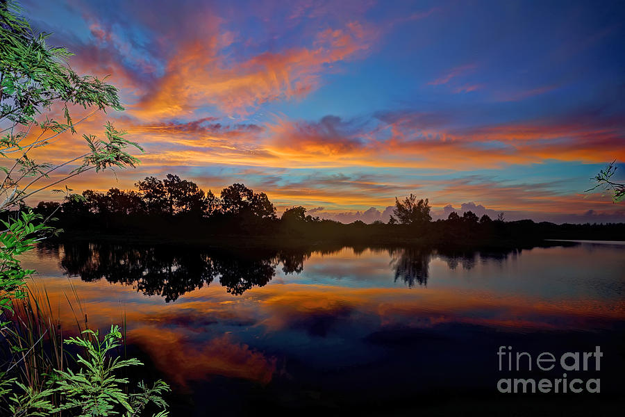 Nature Photograph - Sunrise  by Rick Mann