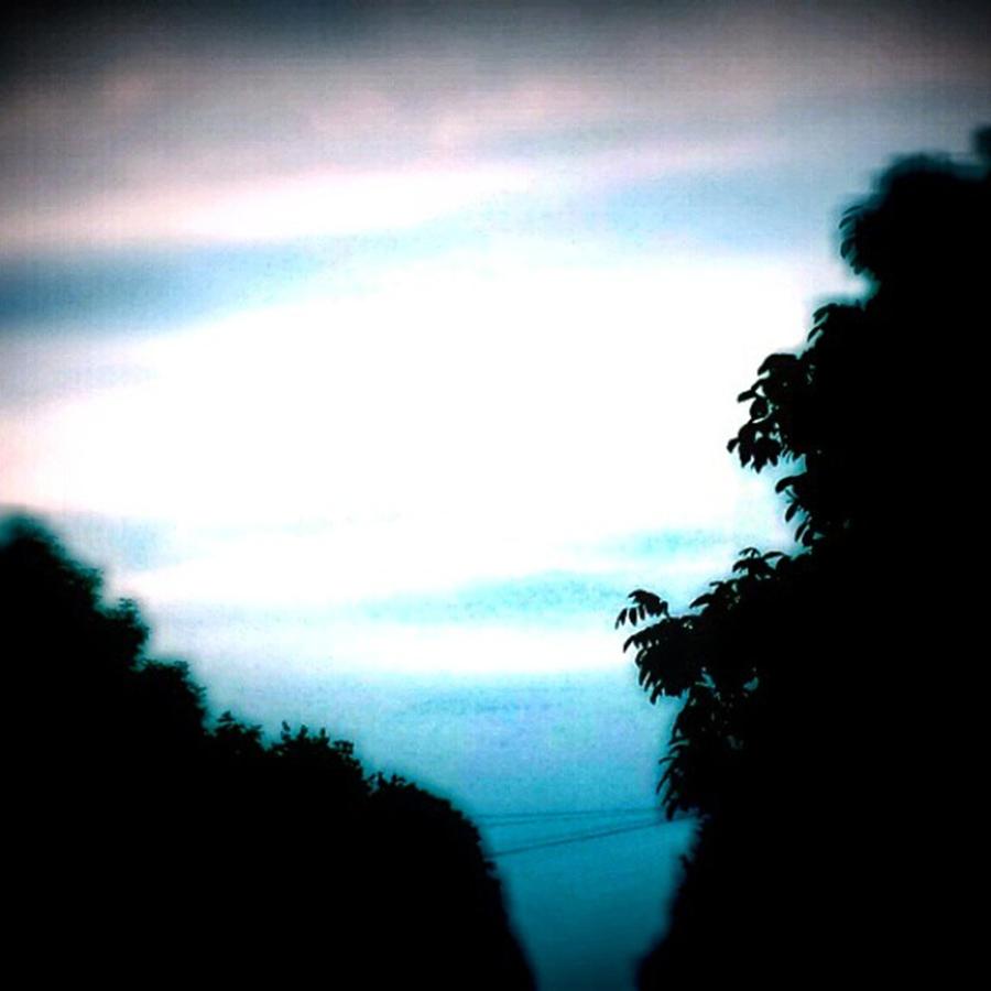 Tree Photograph - #sunrise #sun #tagsforlikes.com #tflers #1 by Jason Roust
