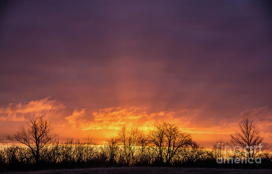 Sunrise Sunrays #1 Photograph by Cheryl Baxter
