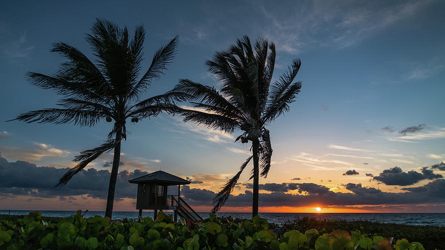 Sunrise Twin Palms Delray Beach Florida #1 Photograph by Lawrence S Richardson Jr