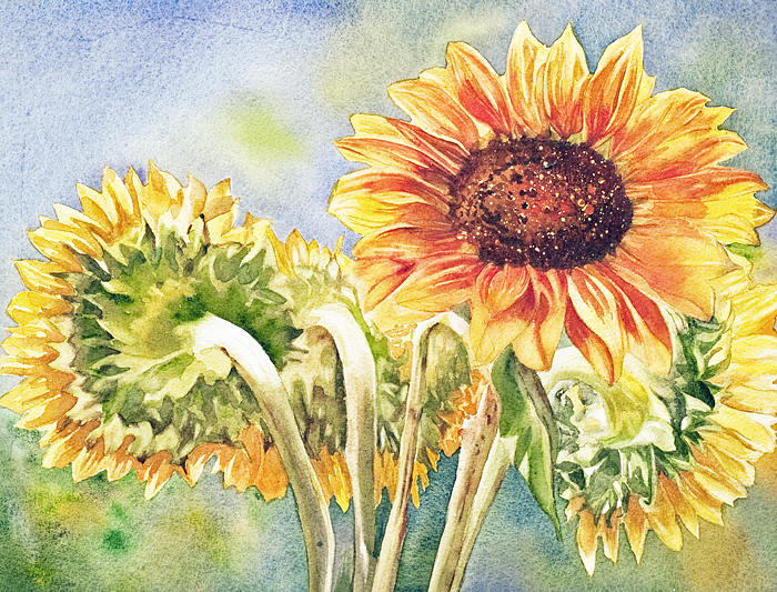 Suns All Around #1 Painting by Diane Fujimoto