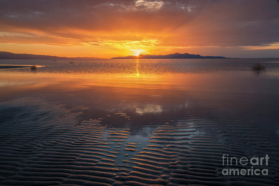Sunset and Sand Ripples #1 Photograph by Spencer Baugh