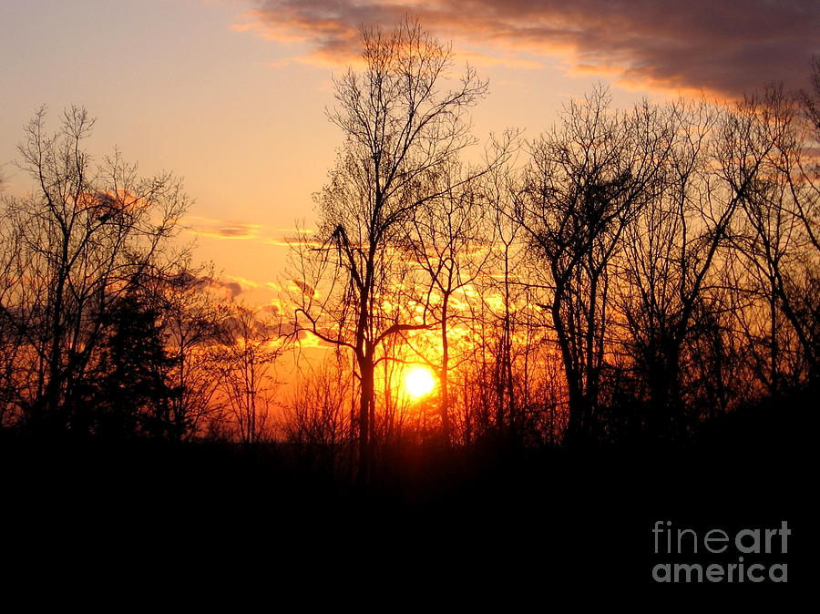 Sunset and Silhouetted Trees #1 Photograph by Rose Santuci-Sofranko