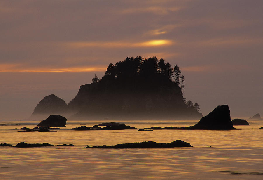 Sunset At Olympic National Park, Cape Photograph by Ron Watts - Fine ...