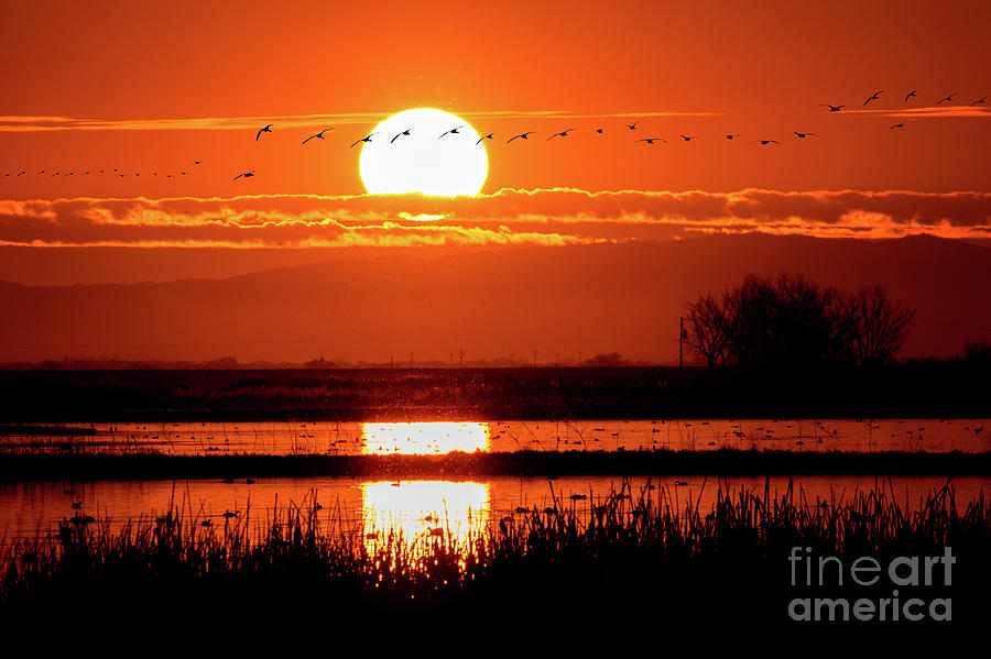 Sunset at the Refuge #1 Photograph by Mimi Ditchie
