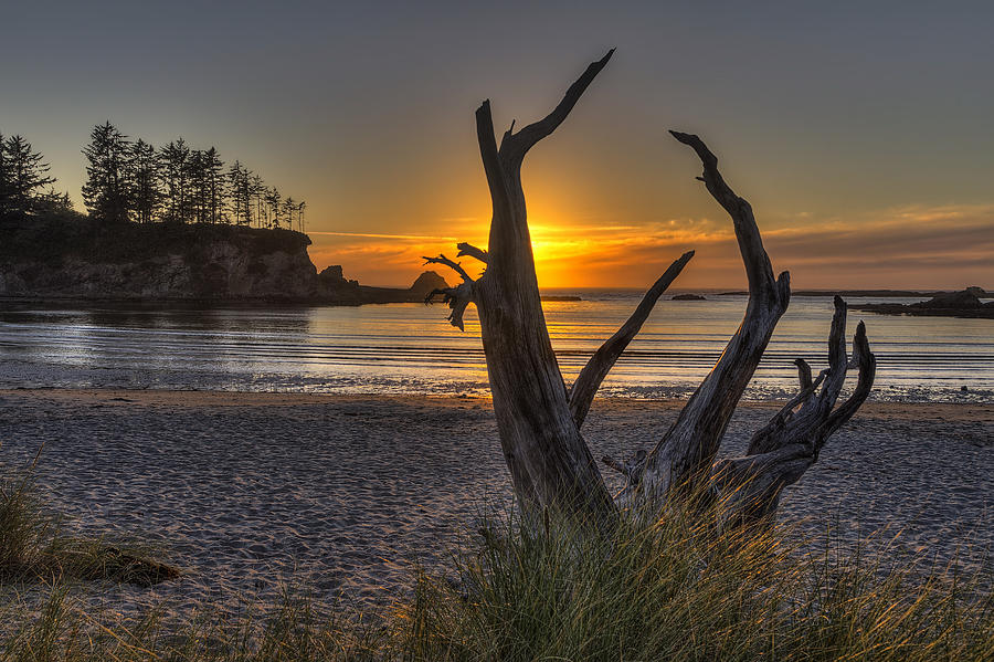 Sunset Bay #1 Photograph by Mark Kiver