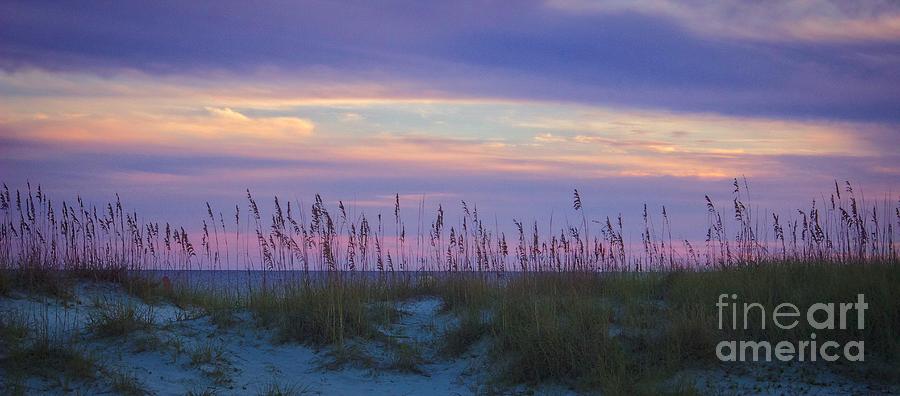 Sunset Dune #1 Photograph by Ty Shults