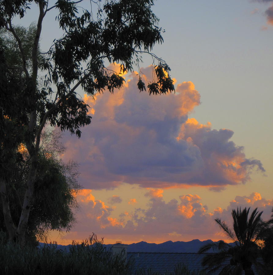 Sunset in Arizona #1 Photograph by Lessandra Grimley