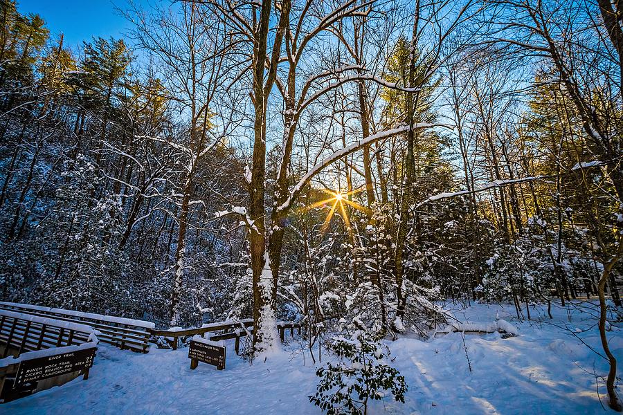 Sunset In Heavy Wooded Forest In Winter #1 Photograph by Alex Grichenko