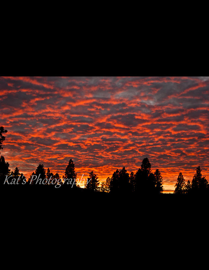 Sunset Photograph - Sunset #1 by Kathleen Stefanski