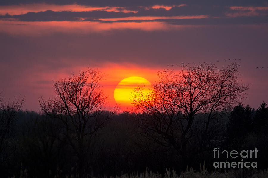 Sunset Landscape #2 Photograph by Cheryl Baxter