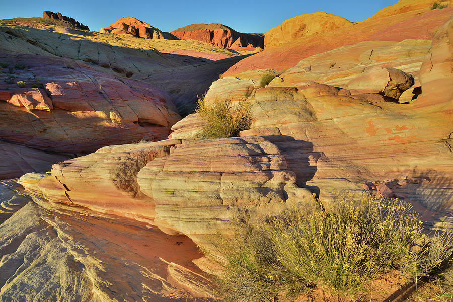 Sunset on Pastel Canyon in Valley of Fire #1 Photograph by Ray Mathis