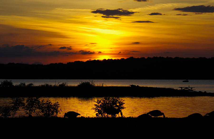 Sunset On The Lake Photograph