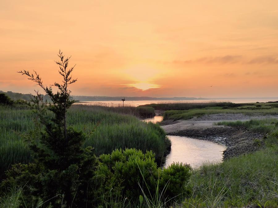 Sunset Over Marsh Photograph by Janice Drew