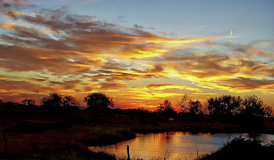 Sunset Over the Pond #1 Photograph by Karen McKenzie McAdoo