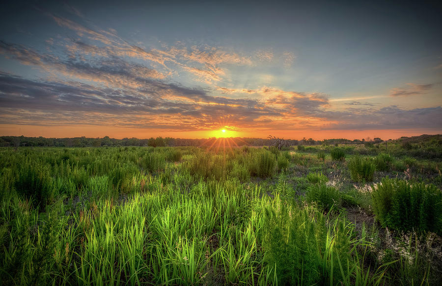 Sunset Plant City Photograph by Ronald Kotinsky - Fine Art America