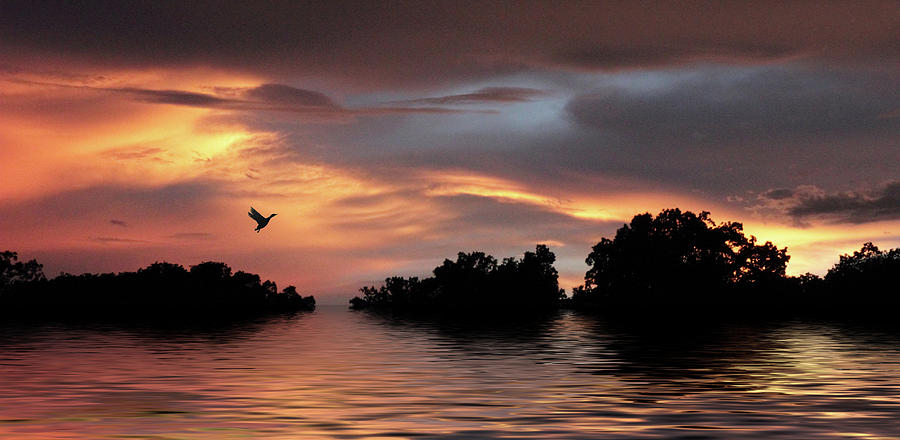 Sunset River   Photograph by Jessica Jenney