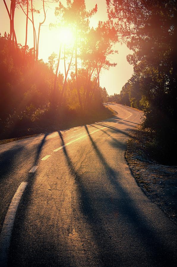 Sunset Photograph - Sunset Road #1 by Carlos Caetano
