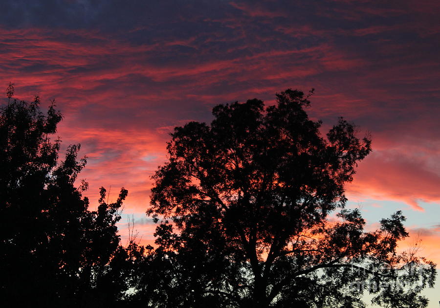 Sunset Photograph - Sunset  #1 by Sheri Simmons