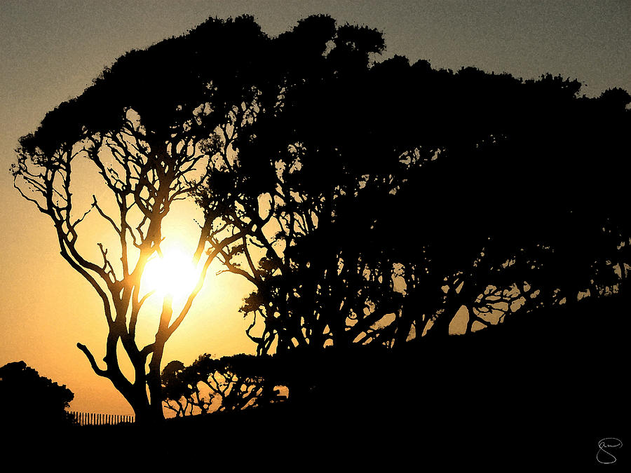Sunset Digital Art - Sunset Silhouette #1 by Creative Solutions RipdNTorn