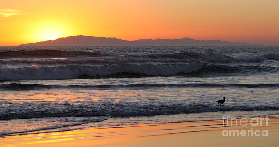 Sunset Waves #1 Photograph by Henrik Lehnerer