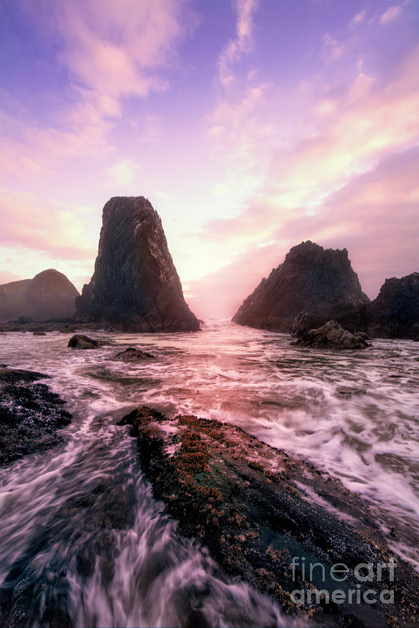 Sunsets and Sea Stacks 4 #1 Photograph by Timothy Hacker