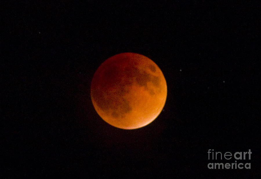 Super Blood Moon #2 Photograph by Steven Krull
