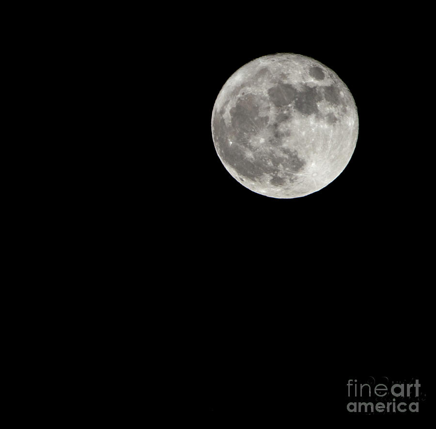 Super Moon #1 Photograph by David Millenheft