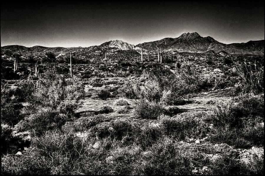 Superstition Wilderness from the Apache Trail #1 Photograph by Roger Passman