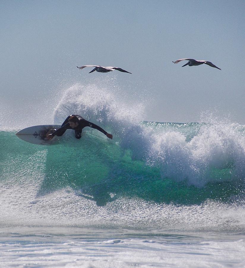 Bird Photograph - Surf Or Fly? #1 by Hal Bowles