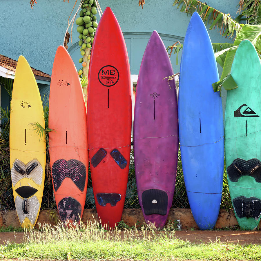 Surfboard Fence Photograph by Peg Owens | Fine Art America