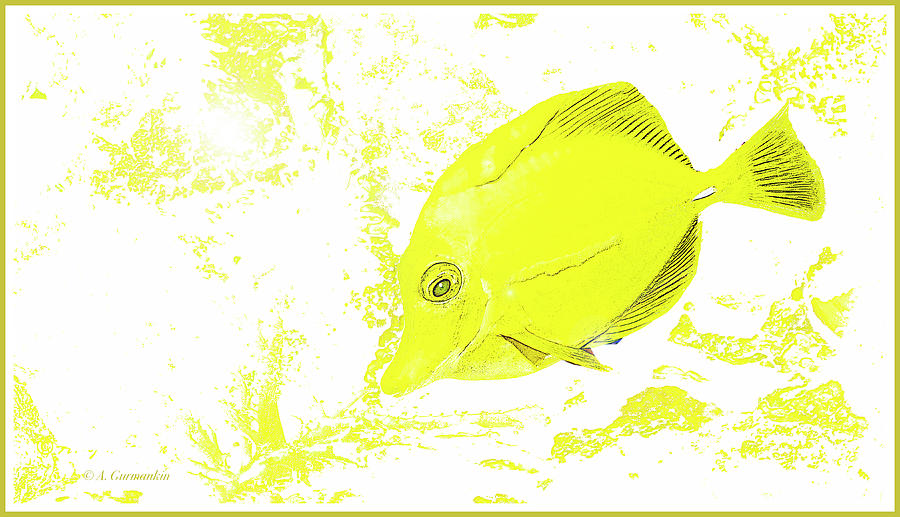 Surgeon Fish Yellow Tang Digital Art #1 Digital Art by A Macarthur Gurmankin