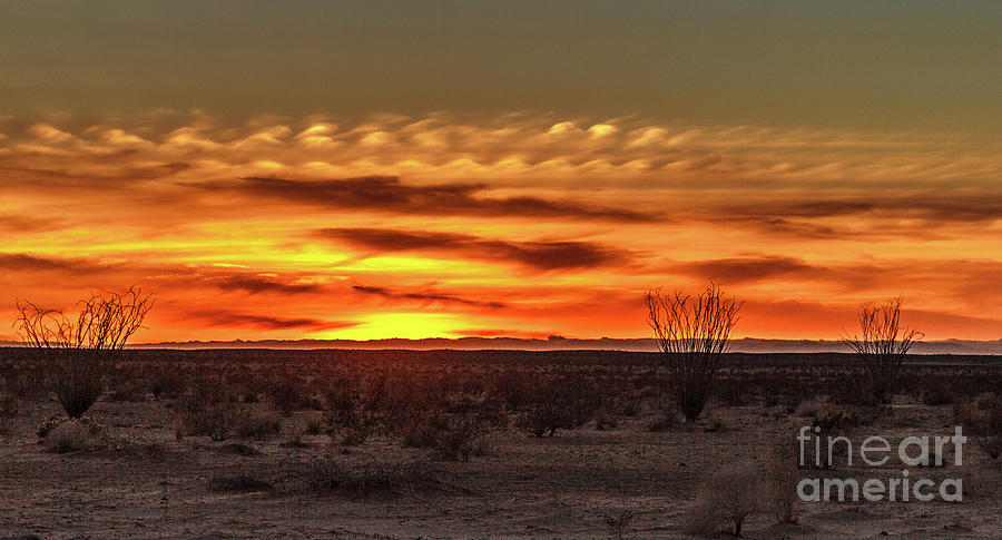 Surreal Sunset #2 Photograph by Robert Bales