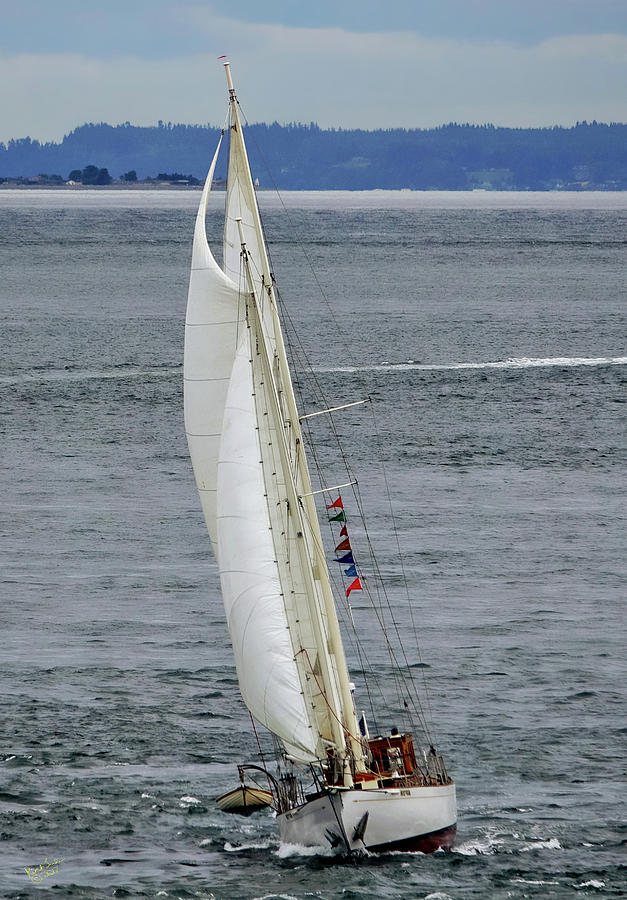 Suva Under Sail #1 Photograph by Rick Lawler