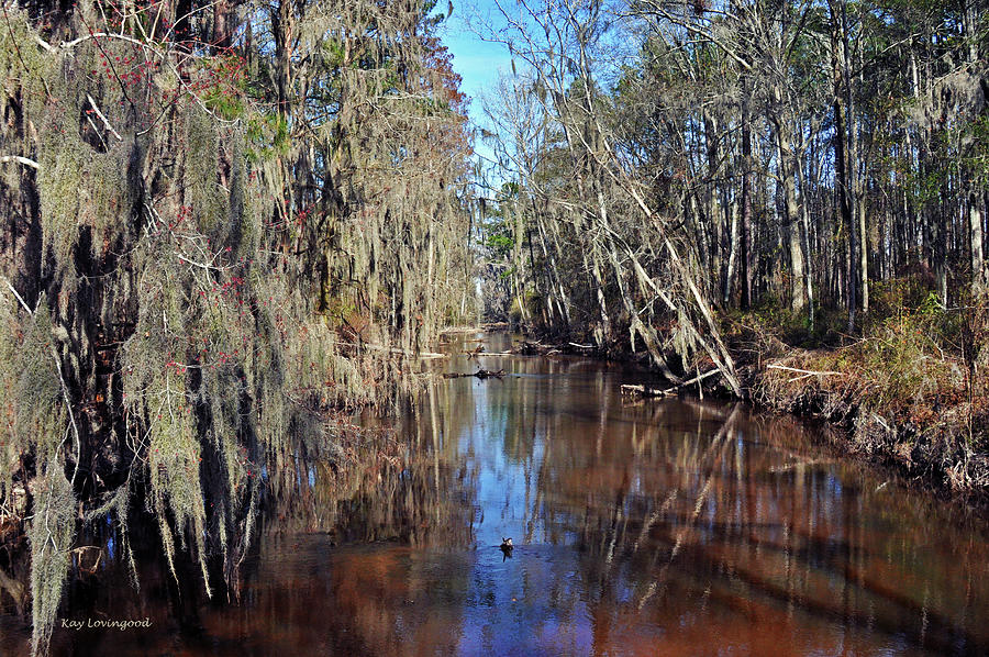 Swampy Creek #2 Photograph by Kay Lovingood