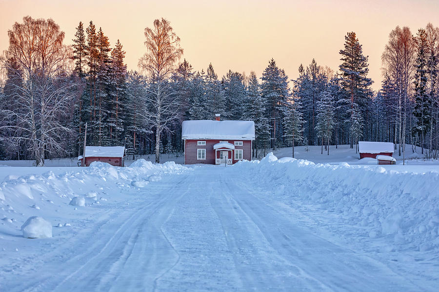 Swedish Lapland #1 Photograph by Joana Kruse