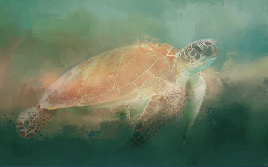 Swimming Turtle #1 Digital Art by Roy Pedersen