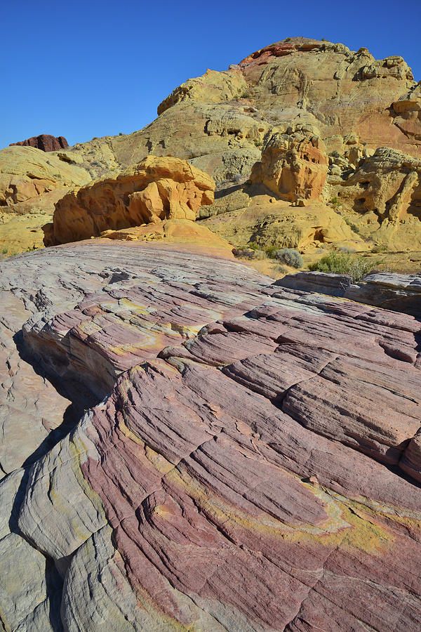 Swirls of Color in Valley of Fire #1 Photograph by Ray Mathis