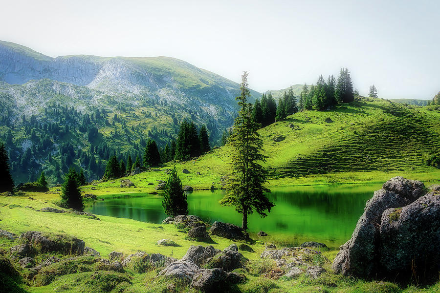 Swiss Mountain Lake #1 Photograph by Mountain Dreams