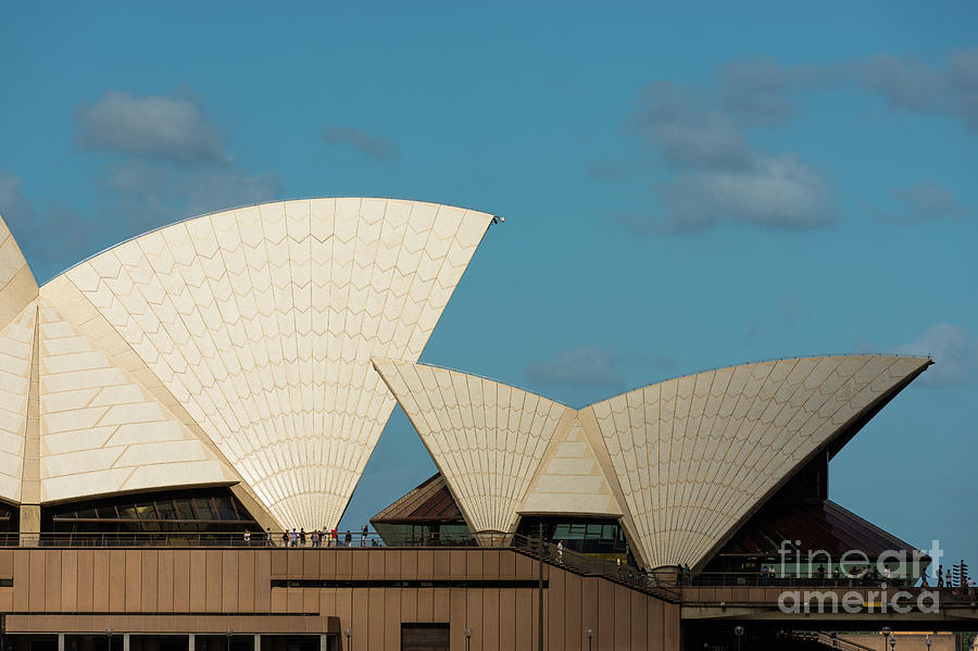 Sydney Opera house sails. #1 Photograph by Andrew Michael