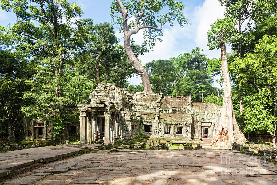 Ta Prohm temple in Angkor #1 Photograph by Didier Marti