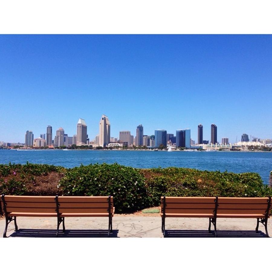 Sandiego Photograph - Tag Someone You Would Like To Share #1 by San Diego California